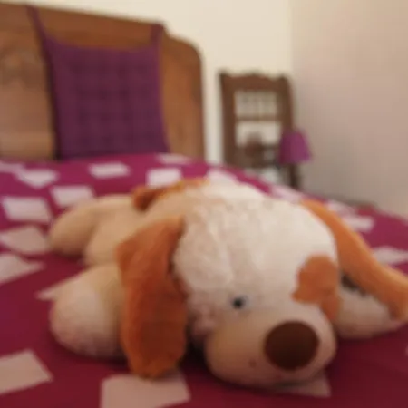 Bed & Breakfast Chambres Et Tables D'hotes A L'auberge Touristique