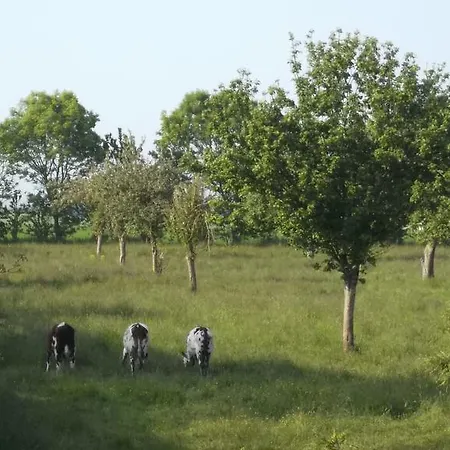 Bed & Breakfast Chambres Et Tables D'hotes A L'auberge Touristique 3*