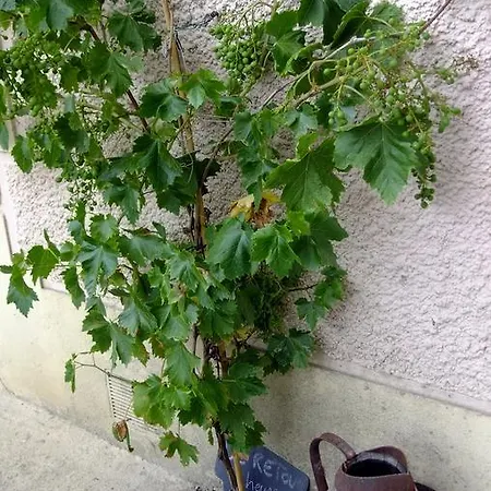 Chambres Et Tables D'hotes A L'auberge Touristique Meuvaines