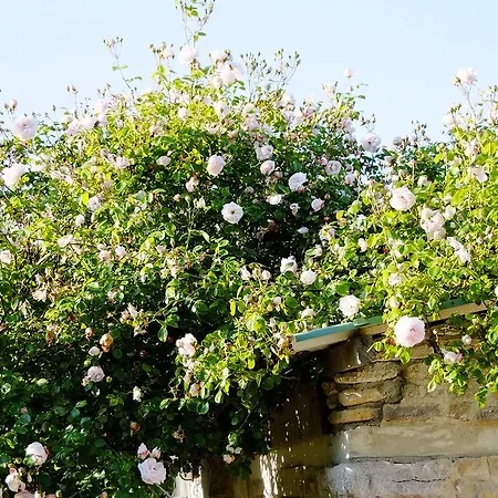 Chambres Et Tables D'hotes A L'auberge Touristique Meuvaines