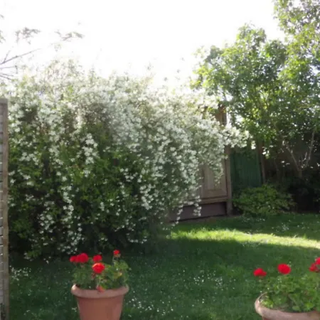 Bed & Breakfast Chambres Et Tables D'hotes A L'auberge Touristique *