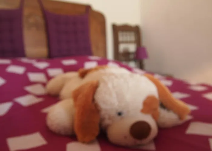 فندق مبيت وإفطار Et Tables D'hotes A L'auberge Touristique