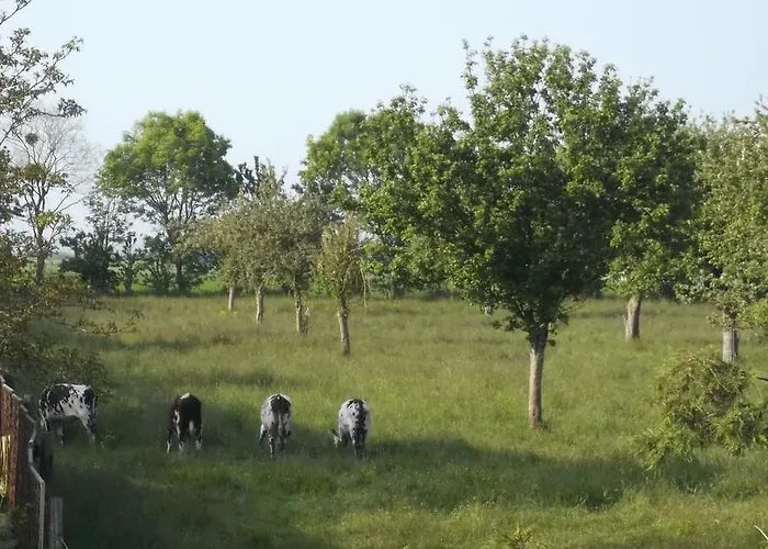 فندق مبيت وإفطار Et Tables D'hotes A L'auberge Touristique 3*