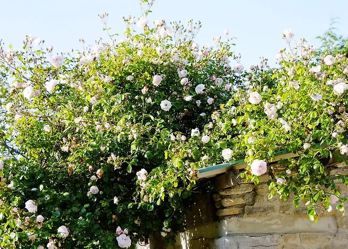 Et Tables D'hotes A L'auberge Touristique Meuvaines